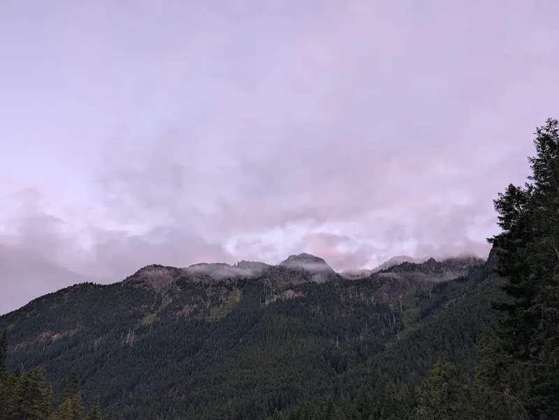 Forested mountain ridge with mist on the peaks under a lavender dusk sky