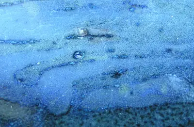 Close-up of a blue glaze surface with small bubbles