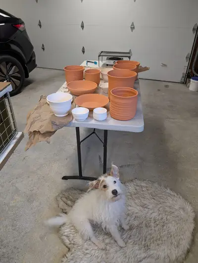 Bisque-fired terracotta-colored planters and white porcelain bowls on a folding table, with a small scruffy white dog sitting on a rug in front